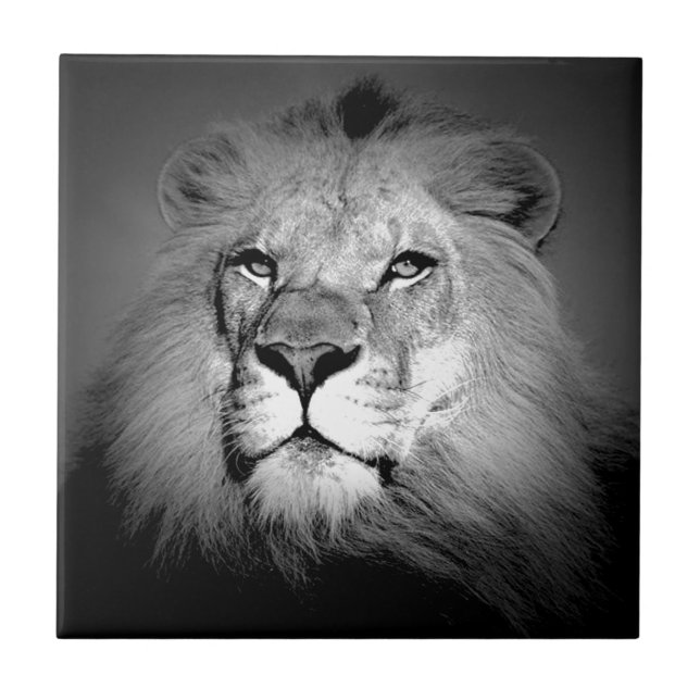 Black & White Lion Tile (Front)