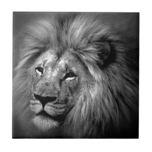 Black & White Lion Tile