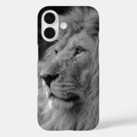 Black & White Lion - Wild Animal