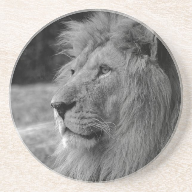 Black & White Lion - Wild Animal Coaster (Front)