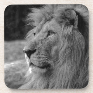 Black & White Lion - Wild Animal Coaster