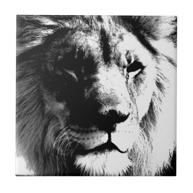 Black & White Lion - Wild Animal Photograpty Art Tile (Front)