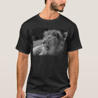 Black & White Lion - Wild Animal