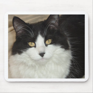 Black & White Longhaired Cat Closeup Mouse Pad