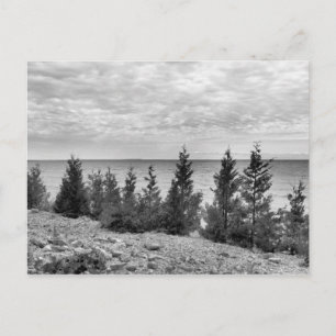 Black & White Mackinac Island, Michigan Shoreline Postcard