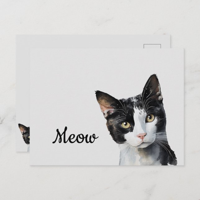 Black White Meow Cat  Postcard (Front/Back)