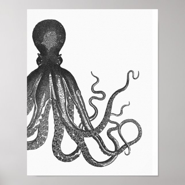 Black & White Modern Octopus Poster (Front)