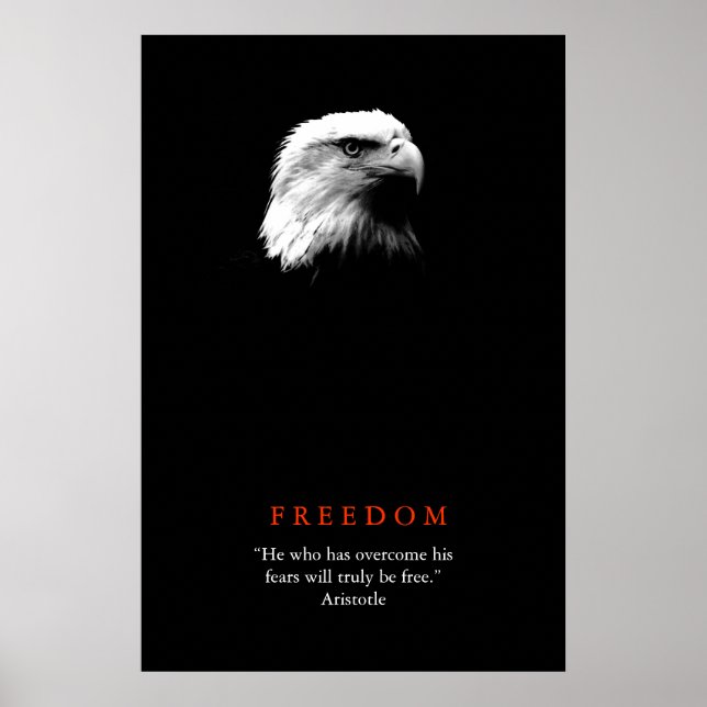 Black White Motivational FREEDOM Bald Eagle Poster (Front)