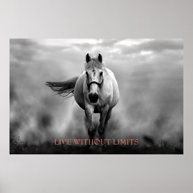 Black White Motivational Horse Live Without Limits Poster (Front)