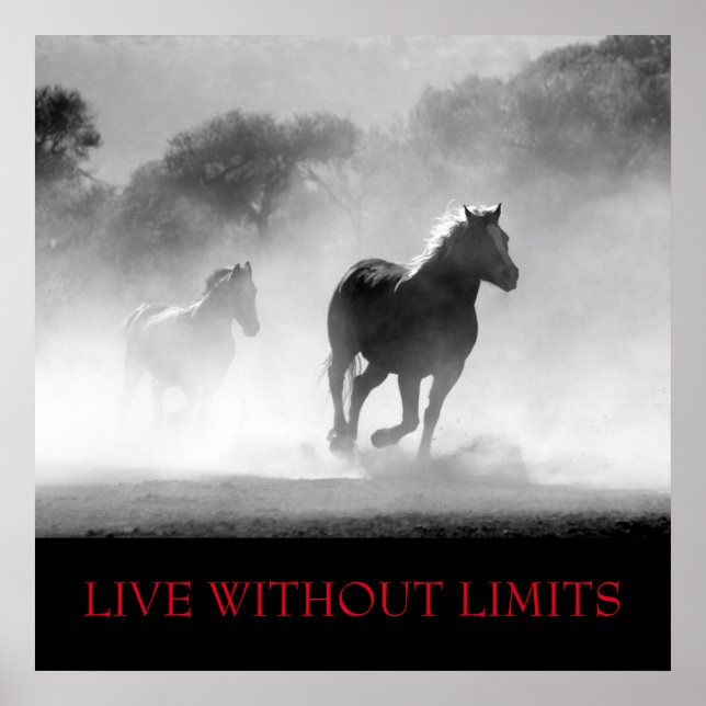 Black White Motivational Horse Live Without Limits Poster (Front)