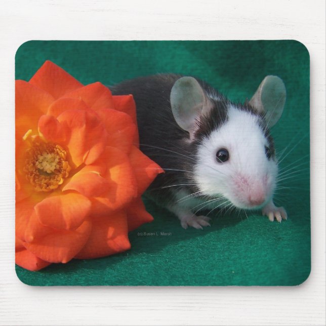 Black White Mouse and Orange tea rose Mouse Pad (Front)