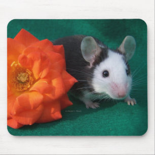 Black White Mouse and Orange tea rose Pad