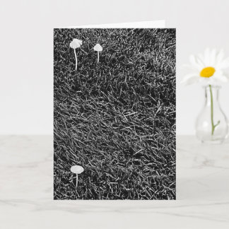 Black & White Mushrooms in Grass Photo Card