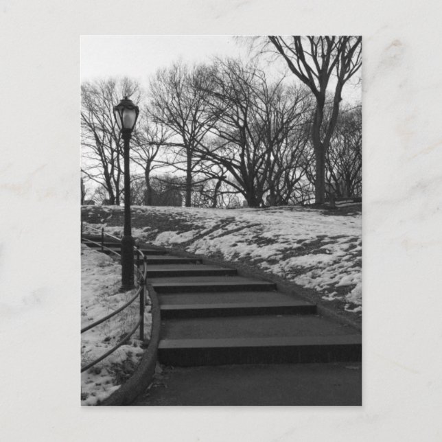 Black White NY Central Park Postcard (Front)