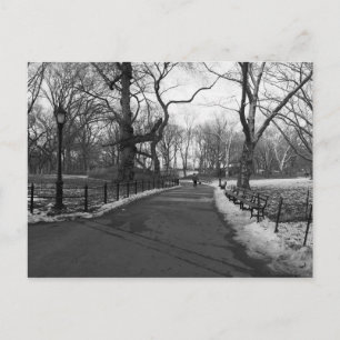 Black White NY Central Park Postcard
