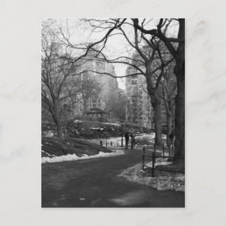 Black White NY Central Park Postcard