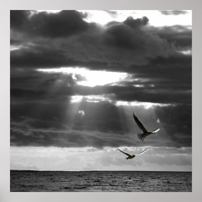 Black & White Ocean  Poster (Front)