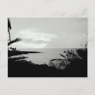Black & White Ocean Scene Postcard