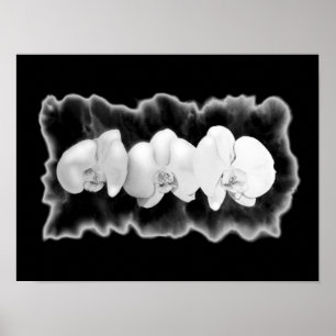 Black White Orchid watercolor painting floral   Poster