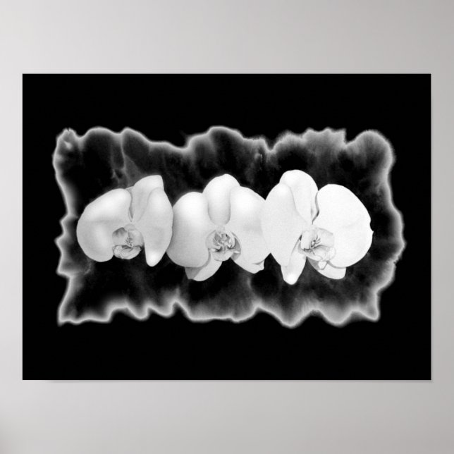 Black White Orchid watercolor painting floral   Poster (Front)
