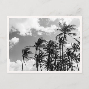 Black & White Palm Trees in Hawaii Photo Greeting Postcard