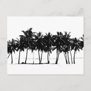 Black White Palm Trees Silhouette Postcard