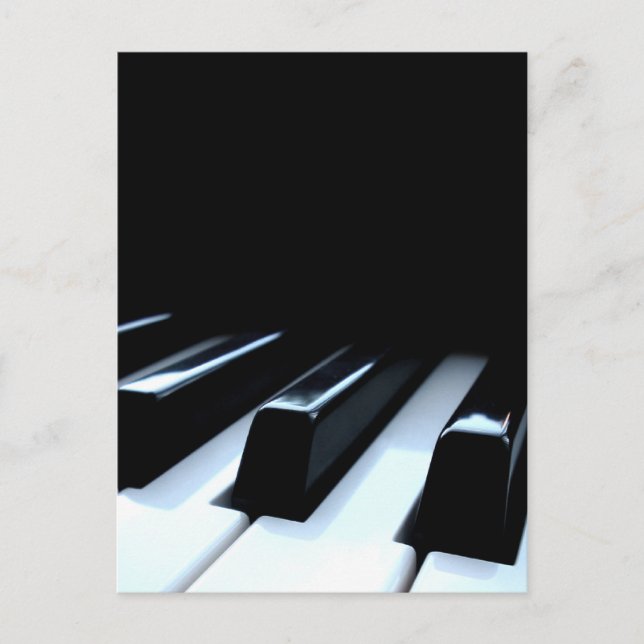 Black & White Piano Keys Postcard (Front)
