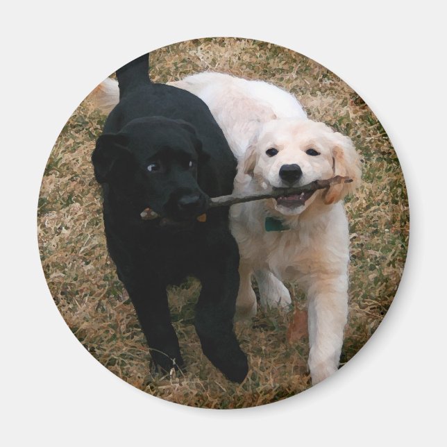 Black & white puppies magnet (Front)