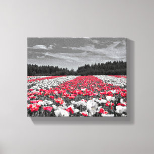 Black White Red Flower Canvas Print