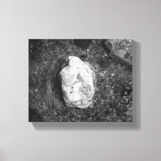 Black & White Rock in the Lake Water 8x10 Canvas Print