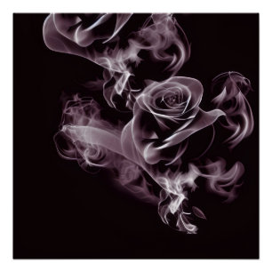 Black - white rose - abstract.  poster