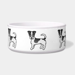 Black & White Rough Coat Jack Russell Terrier Dog