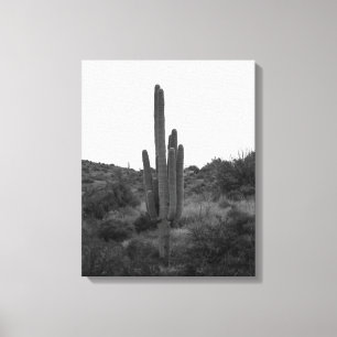 Black & White Saguaro Cactus 16x20 Canvas Print