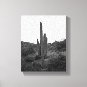 Black & White Saguaro Cactus 8x10 Canvas Print