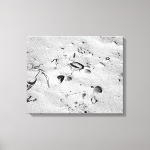 Black & White Seashells in the Sand 16x20 Canvas Print