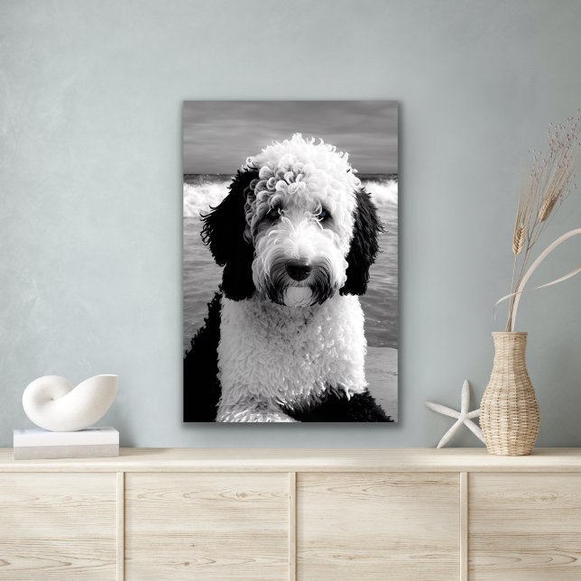 Black & White Sheepadoodle Poster (Creator Uploaded)