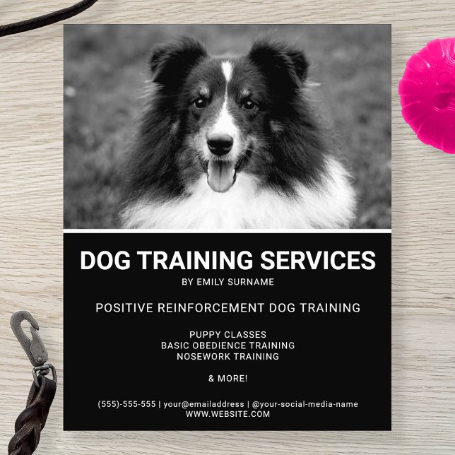 Black & White Shetland Sheepdog Photo Dog Trainer Flyer (Creator Uploaded)