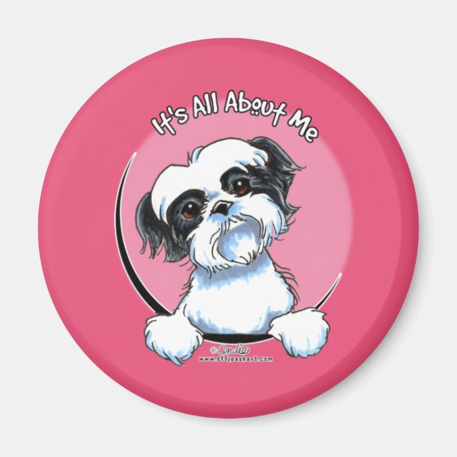 Black/White Shih Tzu IAAM Magnet (Front)