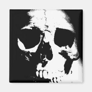 Black & White Skull Magnet