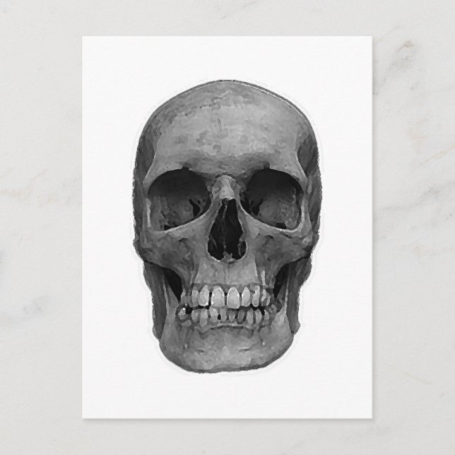 Black & White Skull Postcard (Front)