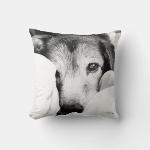 black white sleepy dog puppy shepherd pillow