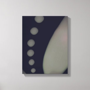Black & White Smooth - Canvas Print