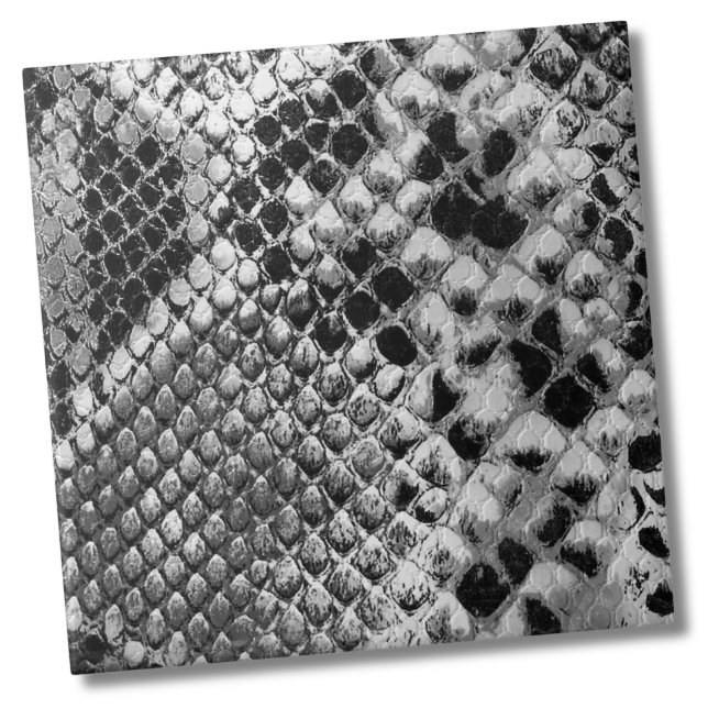 Black White Snake Tile (Black White Reptile Animal Snake Skin Pattern Ceramic Tile)