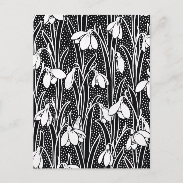 Black & White Snowdrop Pattern  Postcard (Front)