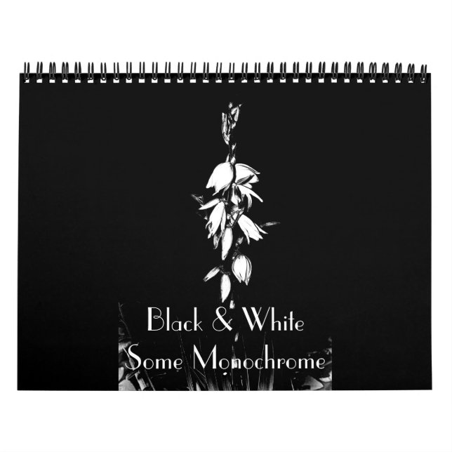 Black & White Some Monochrome Calendar (Cover)