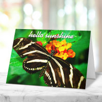 Black White Stripe Butterfly Hello Sunshine Script