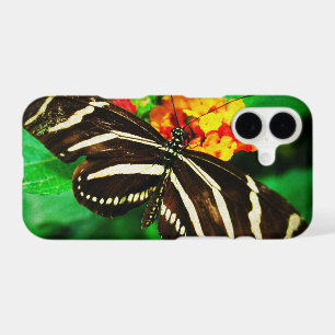 Black white stripes butterfly longwing zebra photo