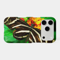 Black white stripes butterfly zebra longwing photo
