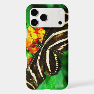 Black white stripes zebra butterfly longwing photo