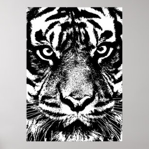 Black White Sumatran Borneo Tiger Eye Artwork Poster